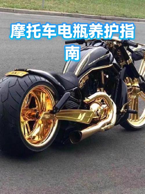 电瓶车维护方法截图