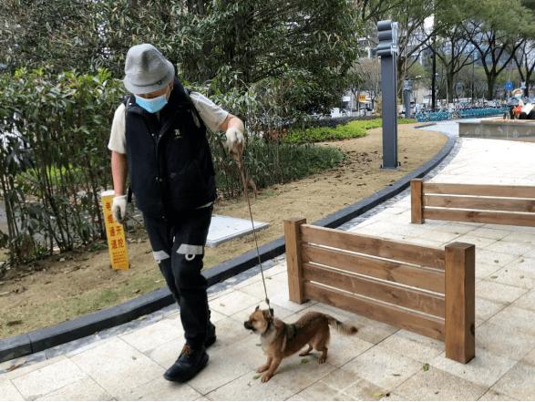 广州最新遛狗圣地