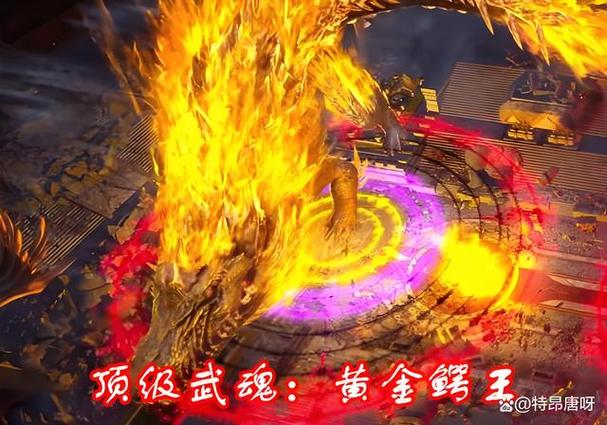 斗罗大陆1~100级划分