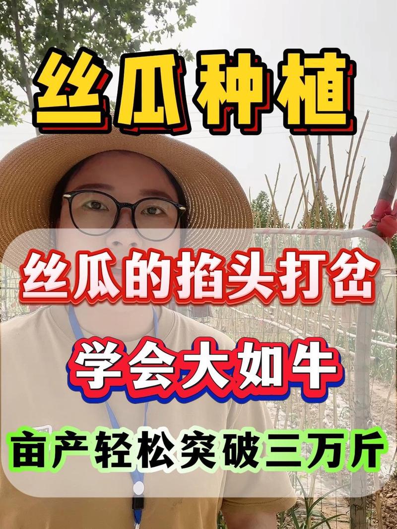 丝瓜强制卸载