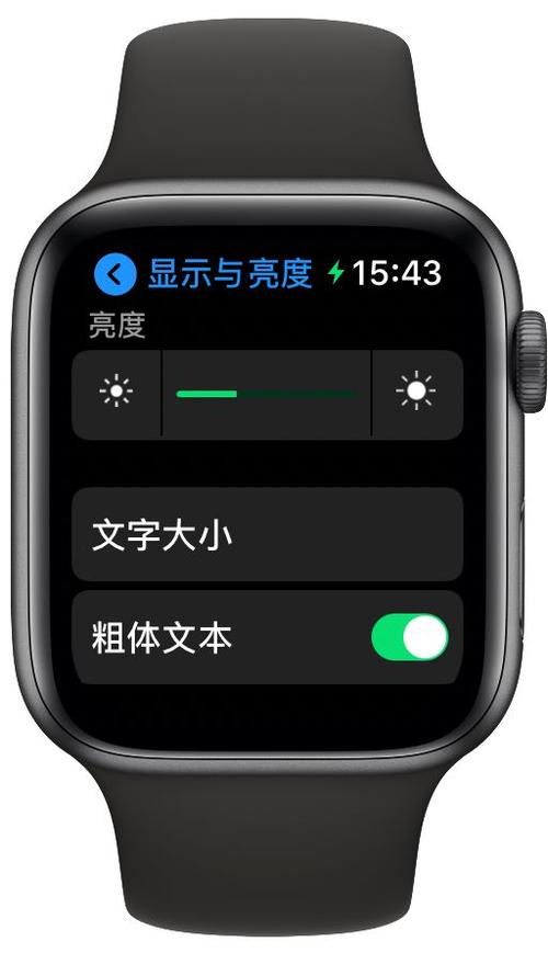 iwatch可以调亮度吗图标