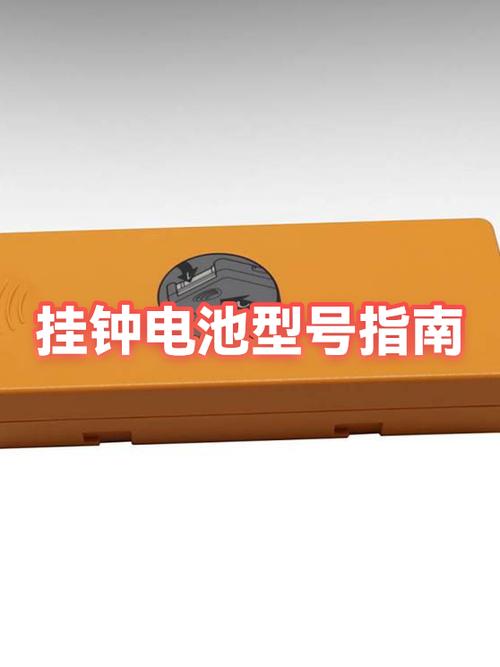 墙上挂钟用什么电池
