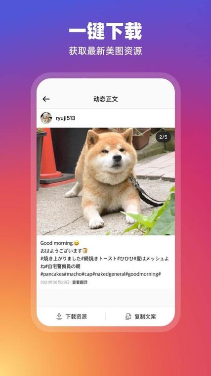 官方下载ins缩略图