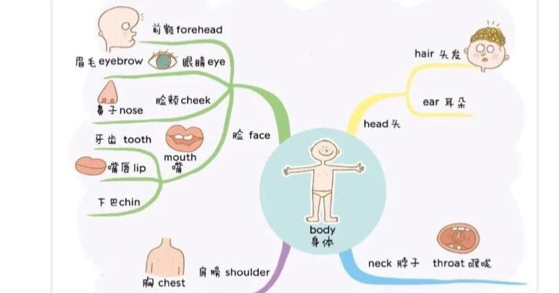 hurt与harm与injury的区别缩略图