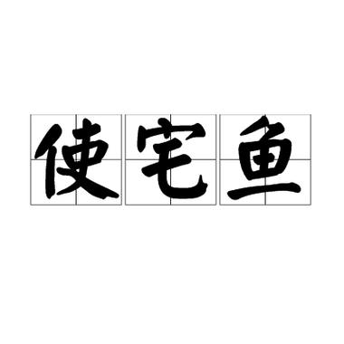 宅鱼是什么意思