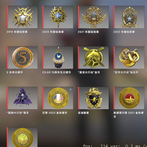 csgo胸章显示效果截图