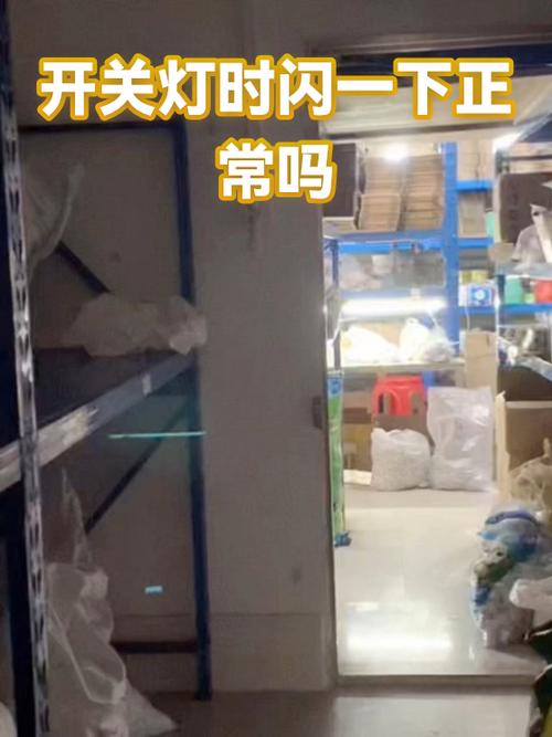 灯时不时闪一下怎么回事截图