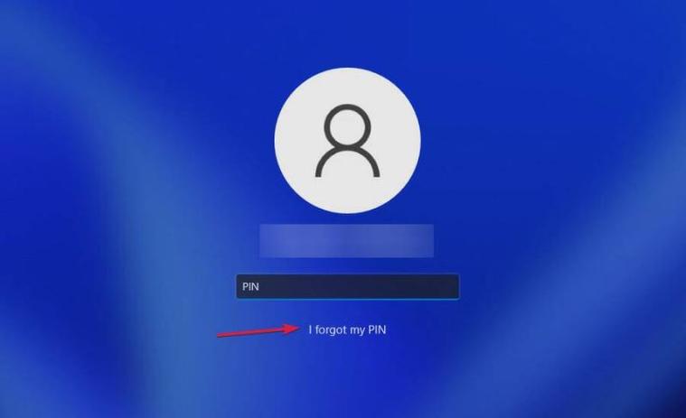win11无密码登录