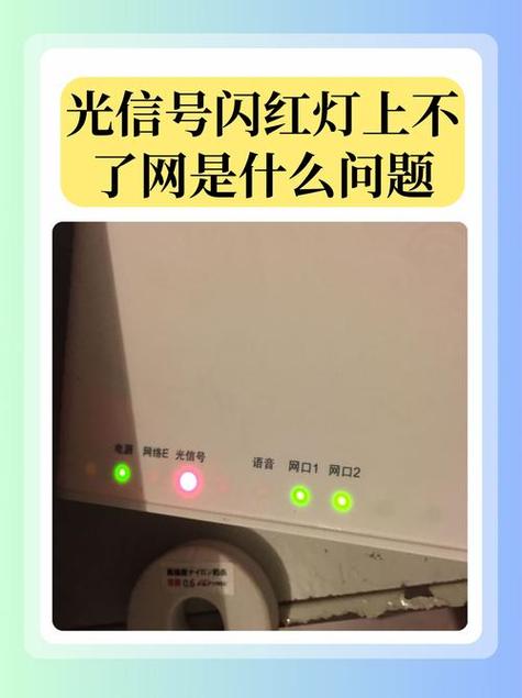 网线只有一个灯亮截图