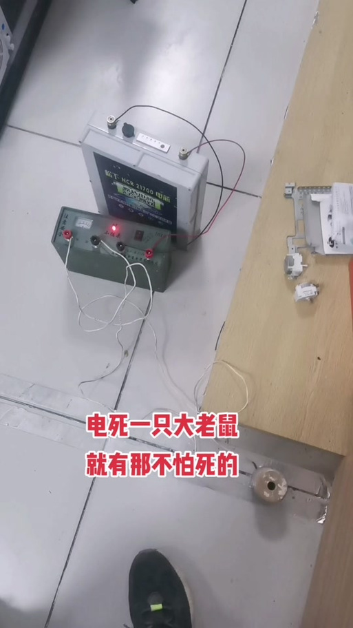 用电电老鼠