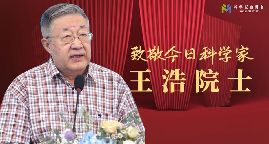 王者归来王浩最新