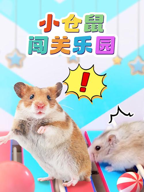 小仓鼠闯关大冒险视频游戏截图