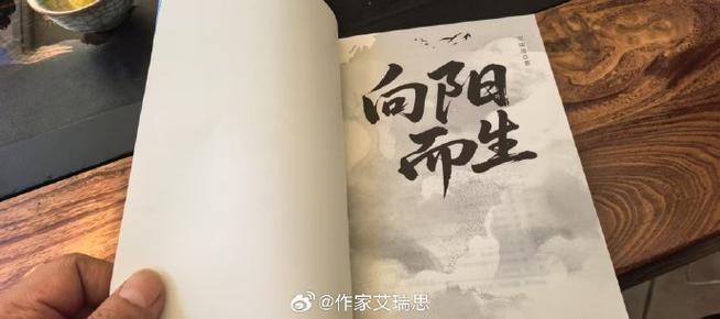 向阳而生小说夏魂