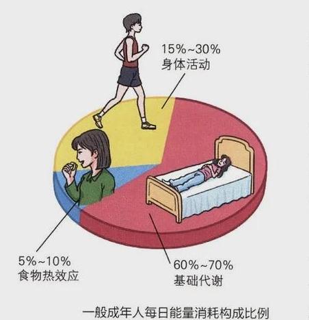 消耗能量是什么意思