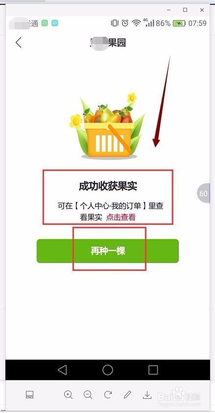 贝店果园种树图标
