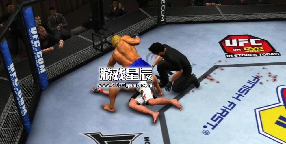 用ps3玩ufc
