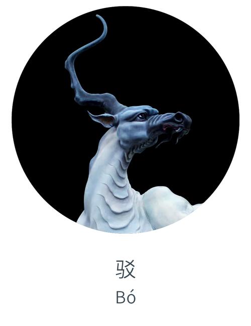 白边打一准确动物截图
