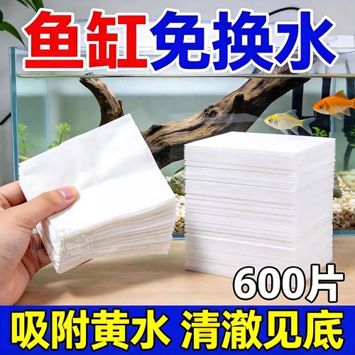 鱼缸水发白雾蒙蒙的怎么解决