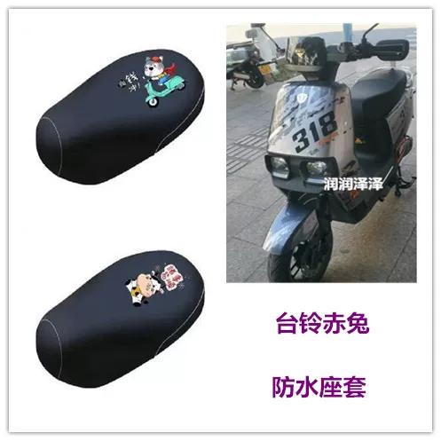 台铃座套型号大全图片游戏截图