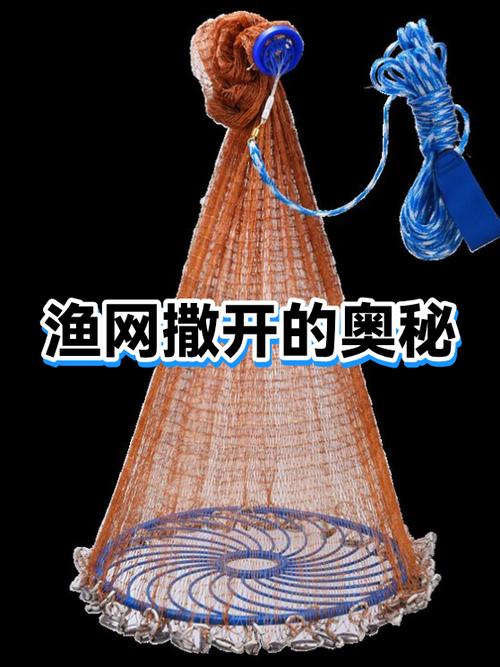 转盘鱼网怎么撒网教程