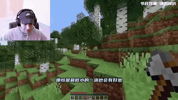 我的世界怎么拿蜂蜜不被蜜蜂蛰缩略图
