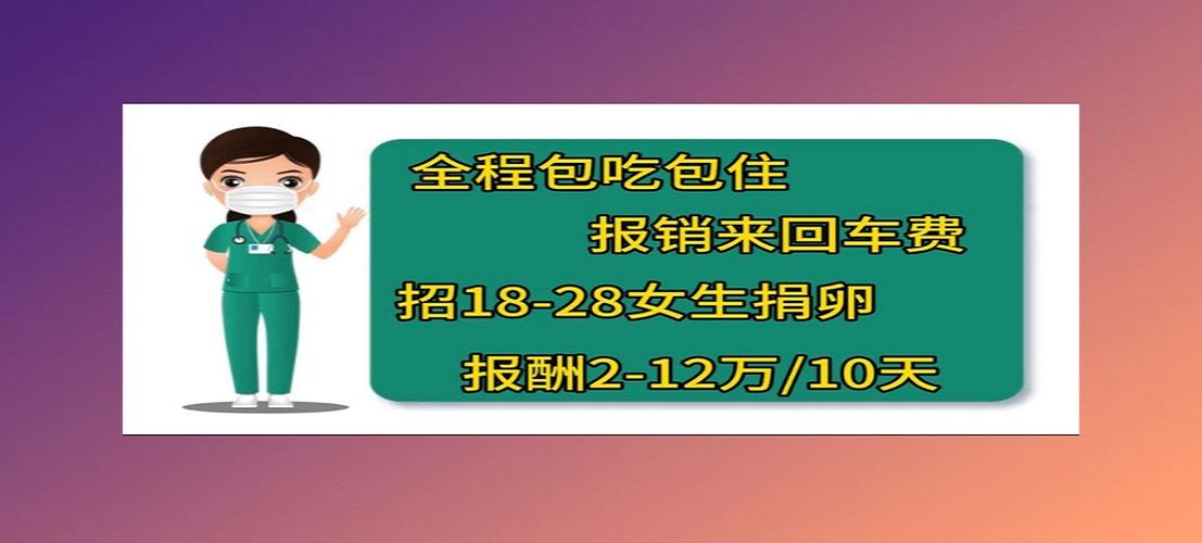 私人代怀公司