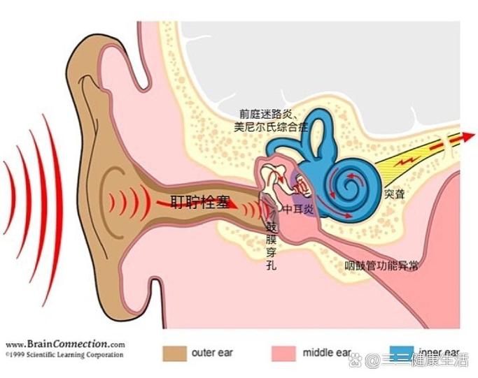 一只耳朵突然听不见了是什么原因