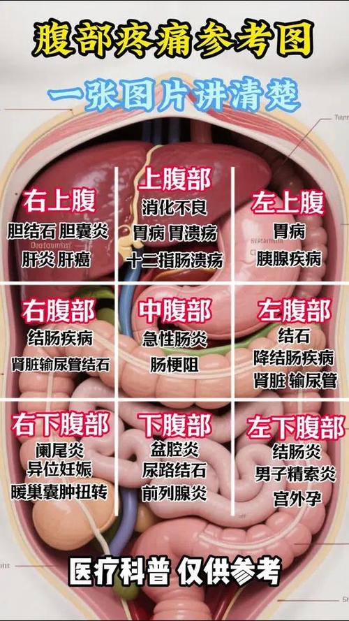人体部位疼痛全图缩略图