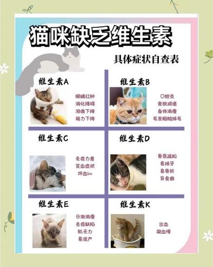 猫可以吃肉燕吗截图