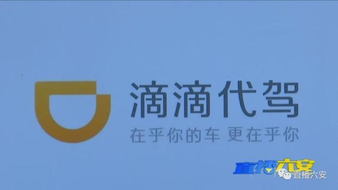 石家庄飞鸟代驾电话24小时热线