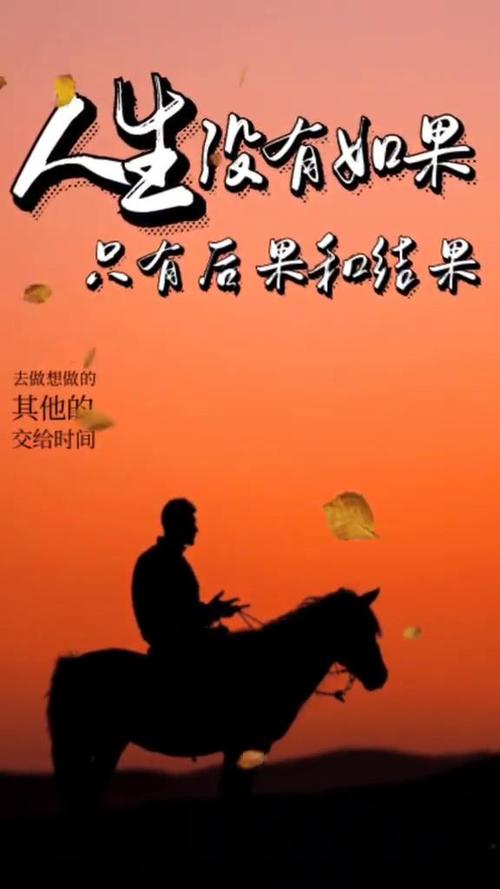 世界上没有如果只有后果和结果