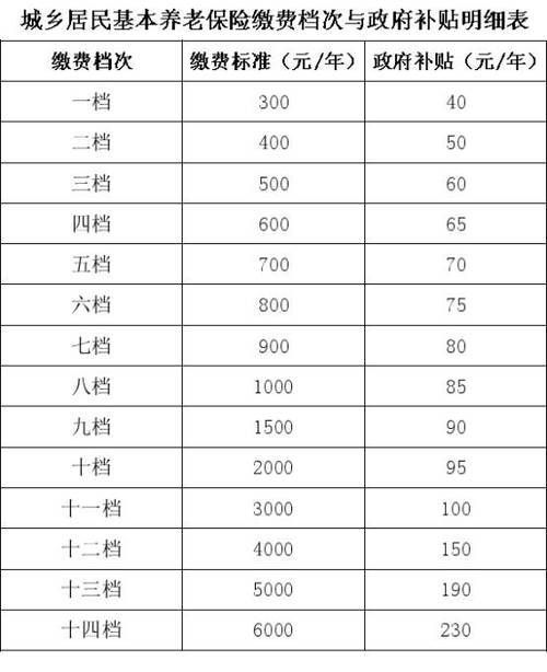 一年交300的社保叫啥