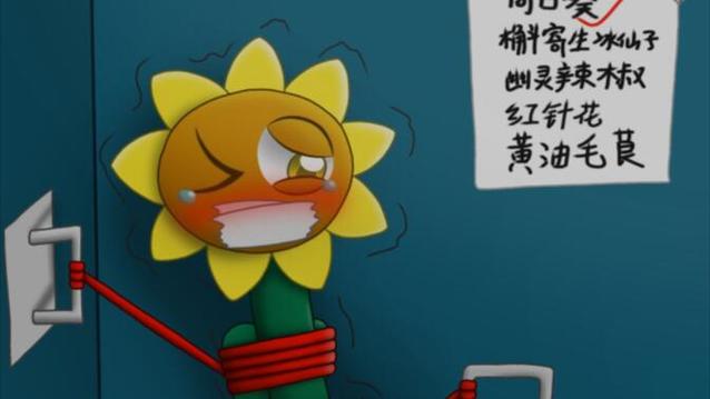 挠植物大战僵尸痒痒
