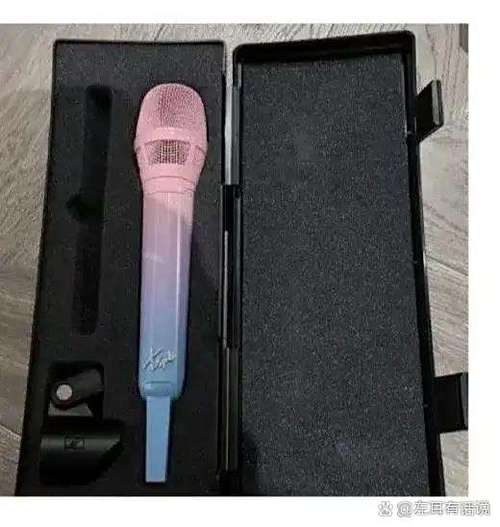 麦克风最贵多少钱一个