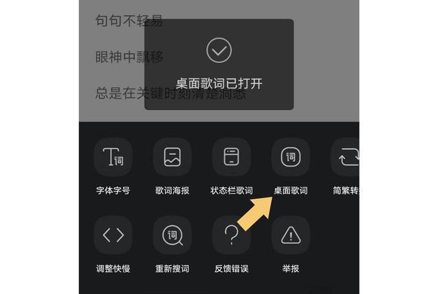 电脑qq音乐怎么改变歌词大小截图