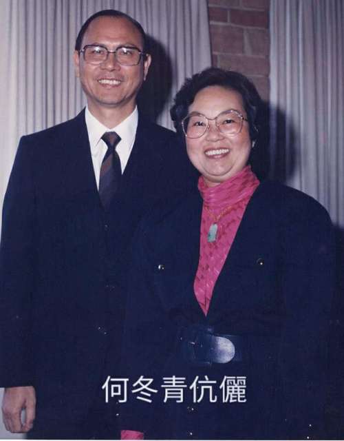 何冬青简介