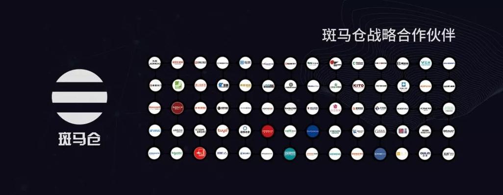 斑马仓是什么模式