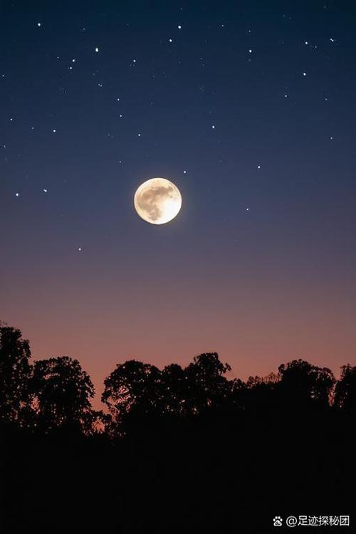 这是一个美妙的夜晚