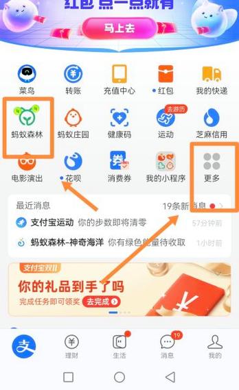 支付宝怎么收取能量