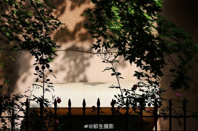 相册里的照片自动变亮了