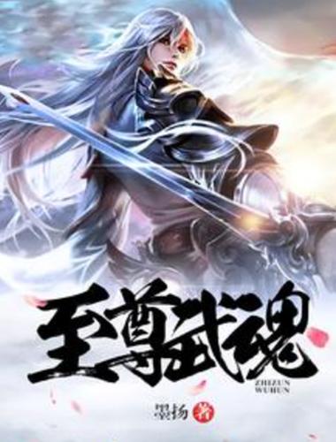 至尊武魂叶尘全文免费