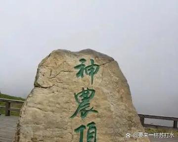 神农采官网入口截图