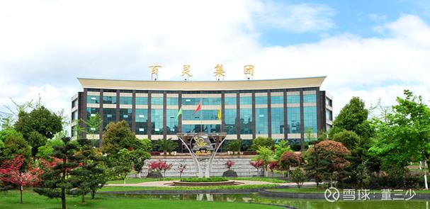 贵州百灵最新消息