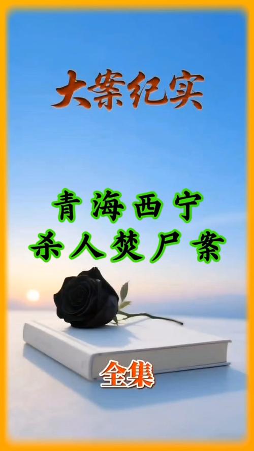 青海经视法案全部视频