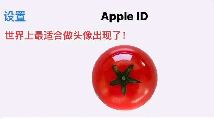 苹果id头像能删除吗
