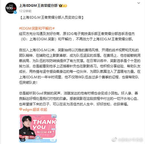 edg和edgm什么关系截图