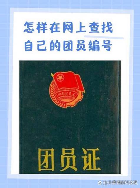 发展团员编号格式截图