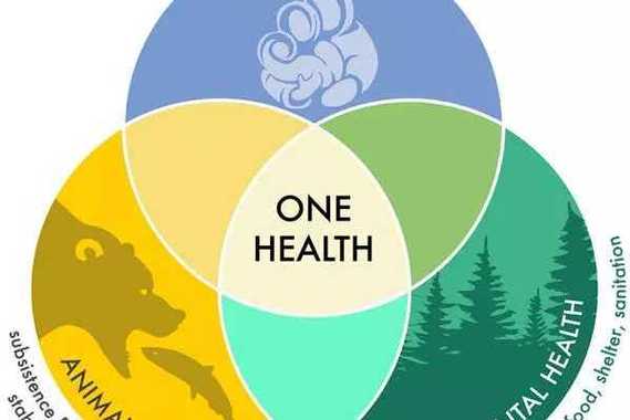 health one