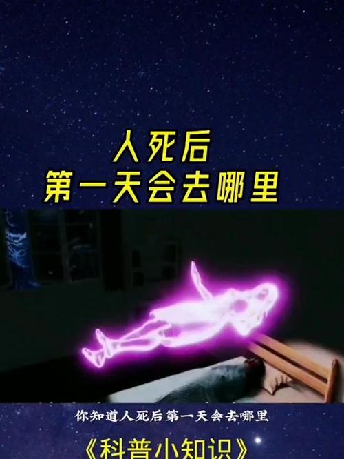 人死后七天分别去哪