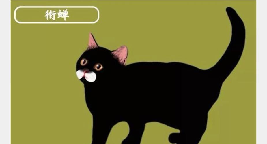 复活后我开了猫咖